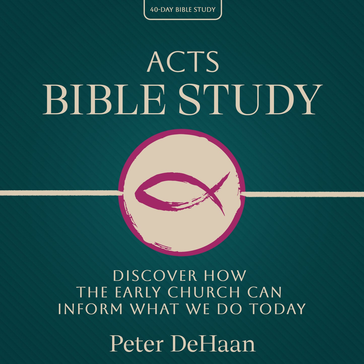 Acts Bible Study: Discover How the Early Church Can Inform What We Do Today (audiobook)